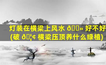 灯装在横梁上风水 🌻 好不好(破 🦢 横梁压顶养什么绿植)